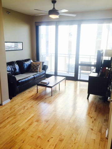 1 E 8th St #409, Chicago, IL 60605 photo 5
