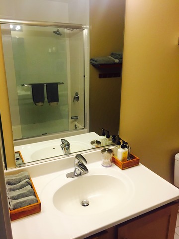 1 E 8th St #409, Chicago, IL 60605 photo 22