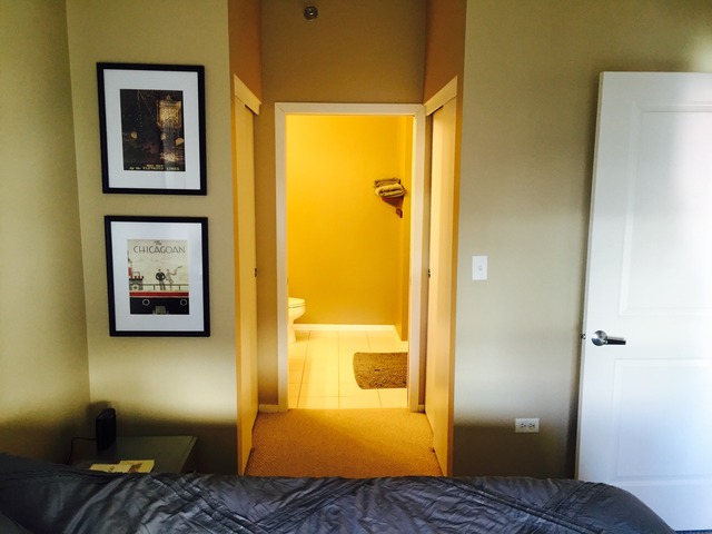 1 E 8th St #409, Chicago, IL 60605 photo 16