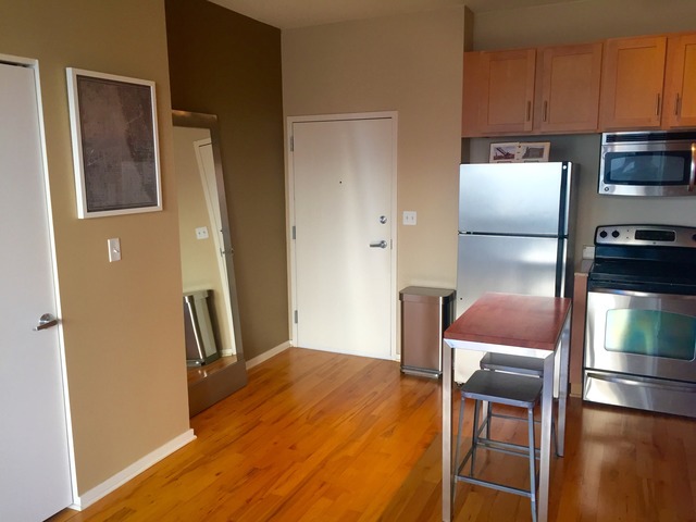 1 E 8th St #409, Chicago, IL 60605 photo 8