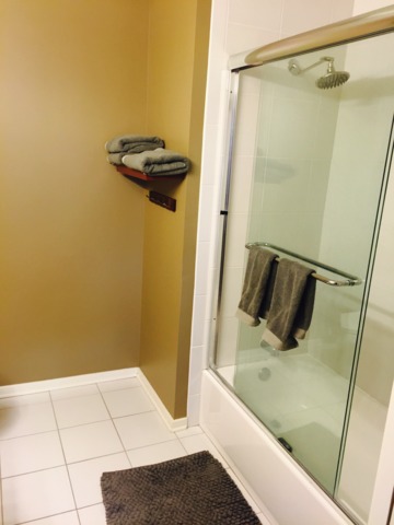 1 E 8th St #409, Chicago, IL 60605 photo 20