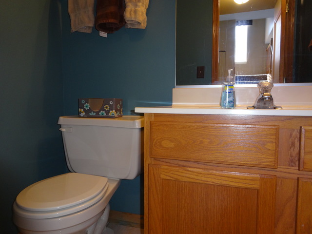 14014 Danbury Dr, Plainfield, IL 60544 photo 8