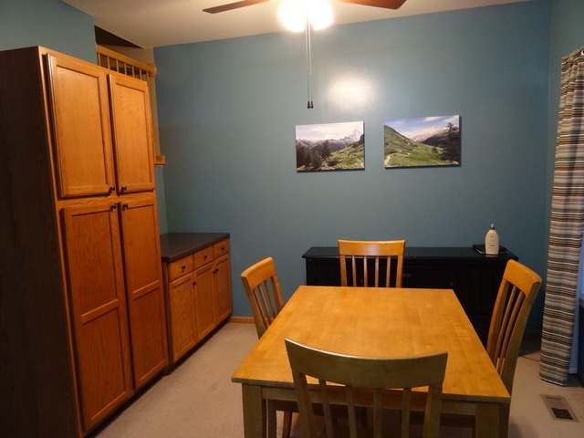 14014 Danbury Dr, Plainfield, IL 60544 photo 7