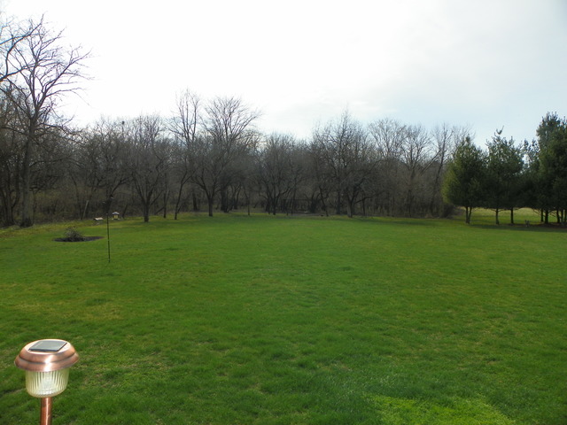 2785 Conley Rd, Morris, IL 60450 photo 22