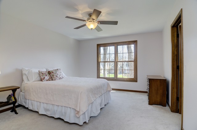 0 N050 Cobblestone Ln, Wheaton, IL 60187 photo 19