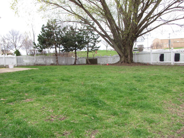 4324 Bronk Cor, Plainfield, IL 60586 photo 21