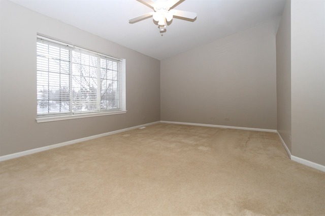 853 Mesa Dr, Elgin, IL 60123 photo 13