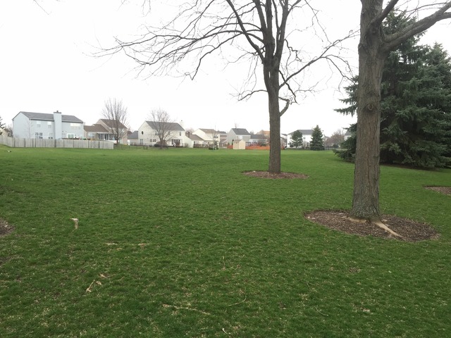 853 Mesa Dr, Elgin, IL 60123 photo 20