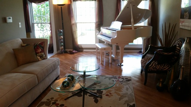 950 Cherry Cir, Bartlett, IL 60103 photo 3