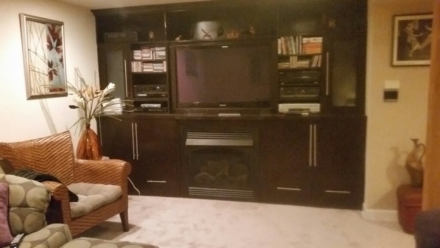 950 Cherry Cir, Bartlett, IL 60103 photo 20