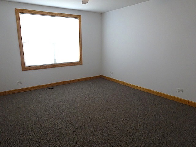16441 S Mueller Cir, Plainfield, IL 60586 photo 15