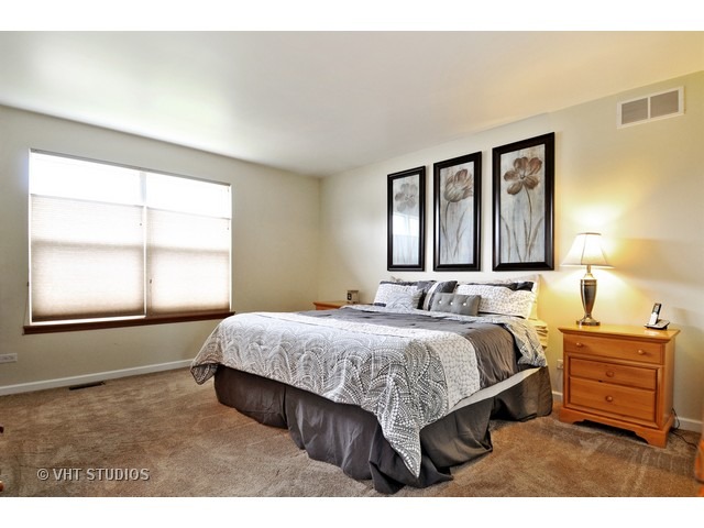 4703 Osprey Ln, Plainfield, IL 60586 photo 10