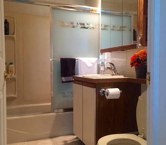 3038 Patton Dr, Des Plaines, IL 60018 photo 9
