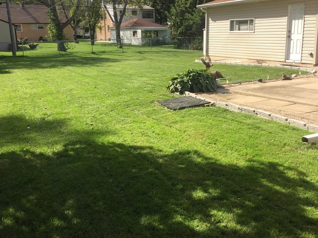 3038 Patton Dr, Des Plaines, IL 60018 photo 22
