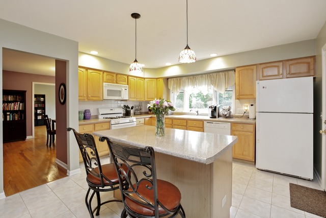 6213 Fairmount Ave, Downers Grove, IL 60516 photo 8