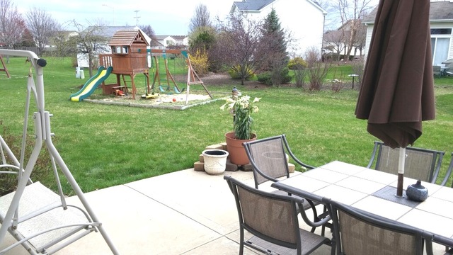 1825 Field Ct, Plainfield, IL 60586 photo 24