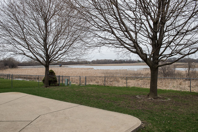 994 Longford Rd, Bartlett, IL 60103 photo 24