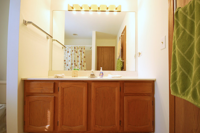 4604 Burnham Dr, Hoffman Estates, IL 60192 photo 14