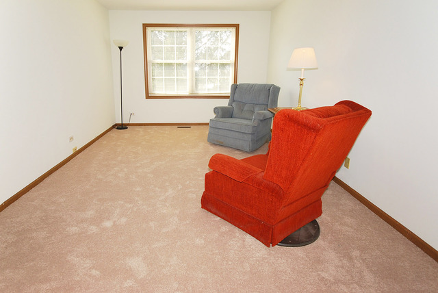 4604 Burnham Dr, Hoffman Estates, IL 60192 photo 18