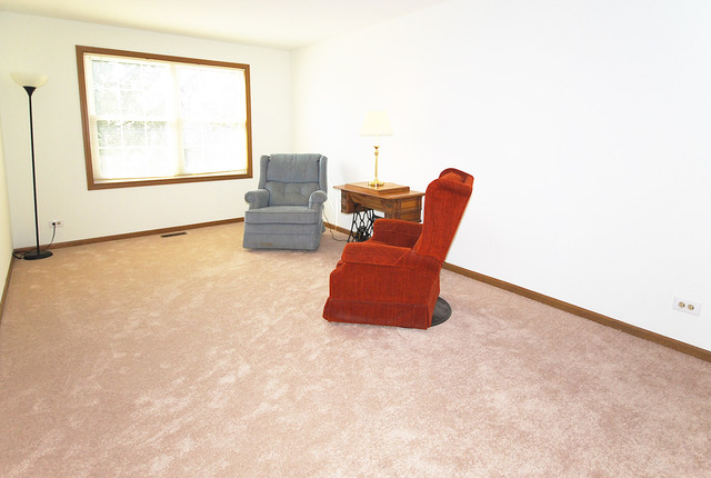4604 Burnham Dr, Hoffman Estates, IL 60192 photo 17