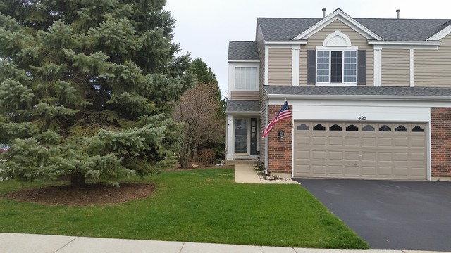 425 Spaulding Rd, Bartlett, IL 60103 photo 1