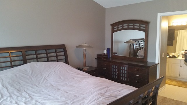 425 Spaulding Rd, Bartlett, IL 60103 photo 18