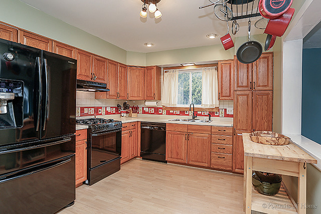 413 S Harvard Ave, Addison, IL 60101 photo 4