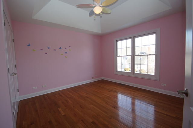 11651 Cinema Dr, Plainfield, IL 60585 photo 21