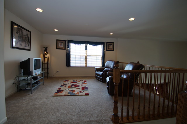25339 Scott Dr, Plainfield, IL 60544 photo 15