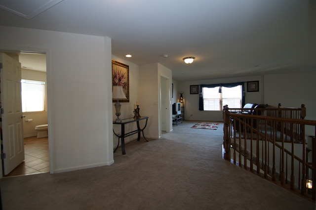25339 Scott Dr, Plainfield, IL 60544 photo 14