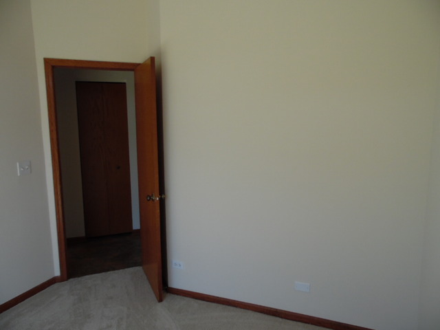 2516 Warm Springs Ln, Naperville, IL 60564 photo 8
