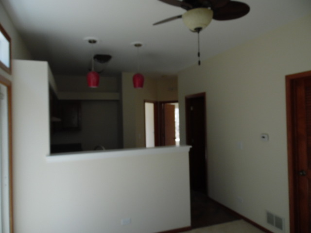 2516 Warm Springs Ln, Naperville, IL 60564 photo 6