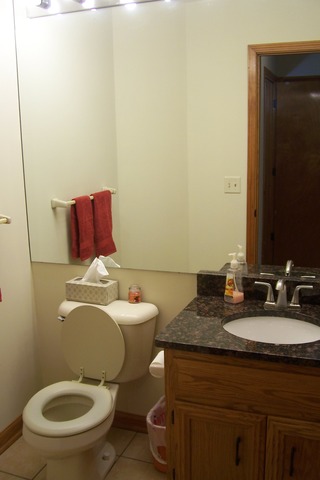 24227 W Pheasant Chase Dr, Plainfield, IL 60544 photo 10