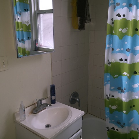 6435 S Eberhart Ave, Chicago, IL 60637 photo 19