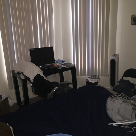 6435 S Eberhart Ave, Chicago, IL 60637 photo 6
