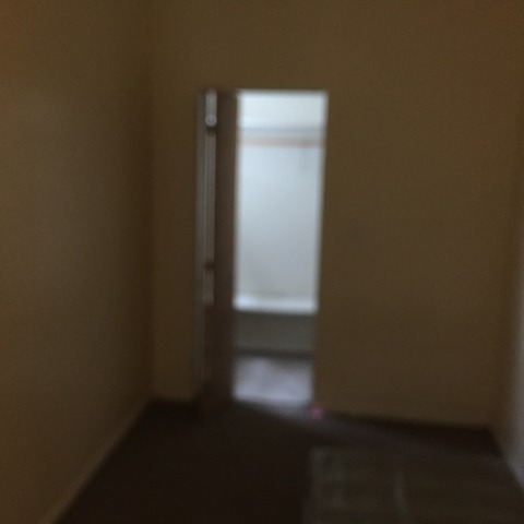 6435 S Eberhart Ave, Chicago, IL 60637 photo 2