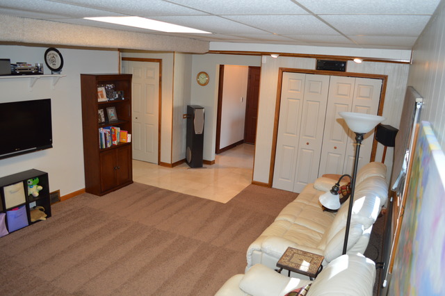 7235 Fair Elms Ave, Willowbrook, IL 60527 photo 9