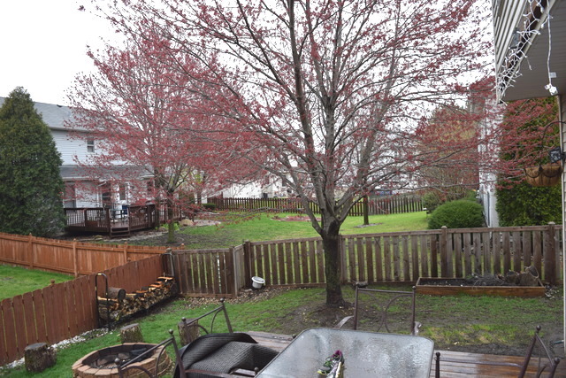 1817 Chestnut Hill Rd, Plainfield, IL 60586 photo 3