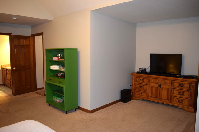 1817 Chestnut Hill Rd, Plainfield, IL 60586 photo 16