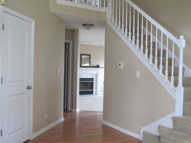 982 Tallgrass Dr, Bartlett, IL 60103 photo 4