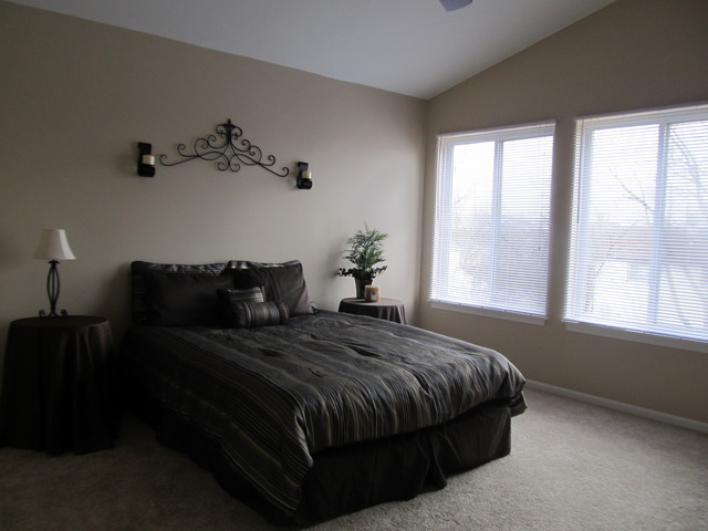 982 Tallgrass Dr, Bartlett, IL 60103 photo 7