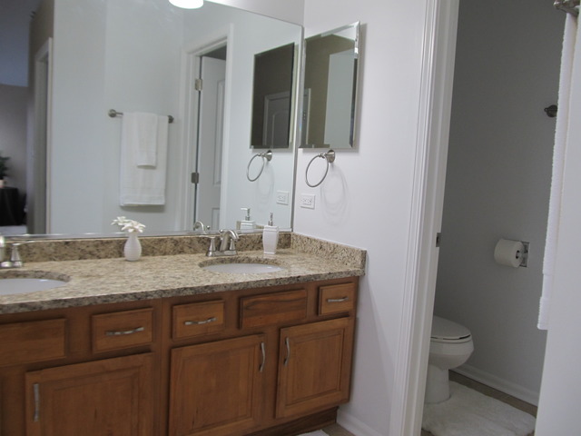 982 Tallgrass Dr, Bartlett, IL 60103 photo 12