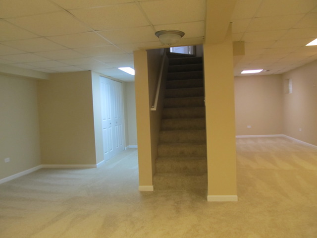 982 Tallgrass Dr, Bartlett, IL 60103 photo 16