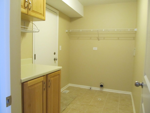 982 Tallgrass Dr, Bartlett, IL 60103 photo 17