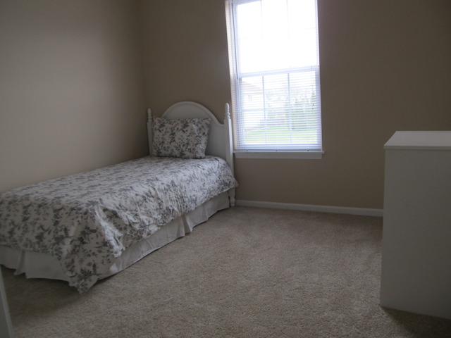 982 Tallgrass Dr, Bartlett, IL 60103 photo 8