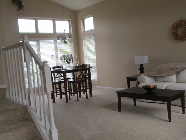 982 Tallgrass Dr, Bartlett, IL 60103 photo 2