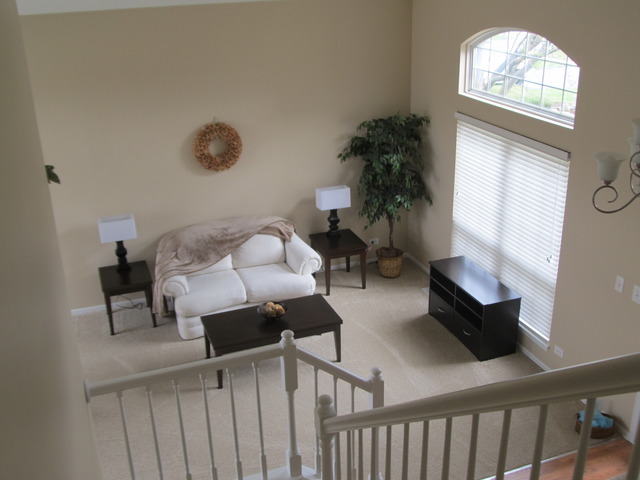 982 Tallgrass Dr, Bartlett, IL 60103 photo 3