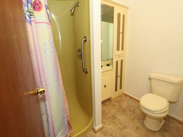 480 Good Ave, Des Plaines, IL 60016 photo 14