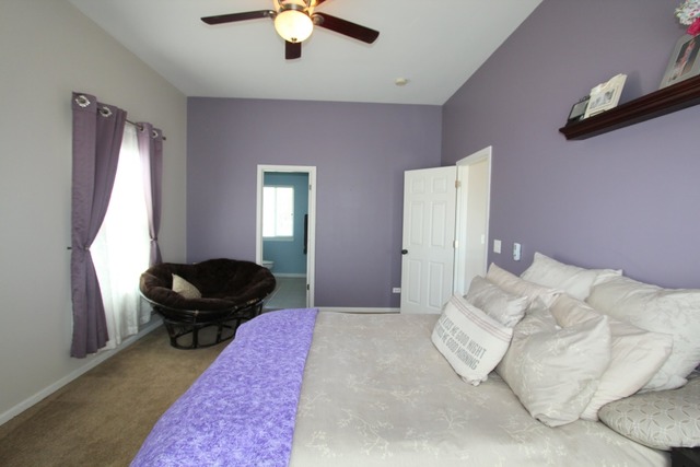 906 Limerick Ln, Mchenry, IL 60050 photo 11