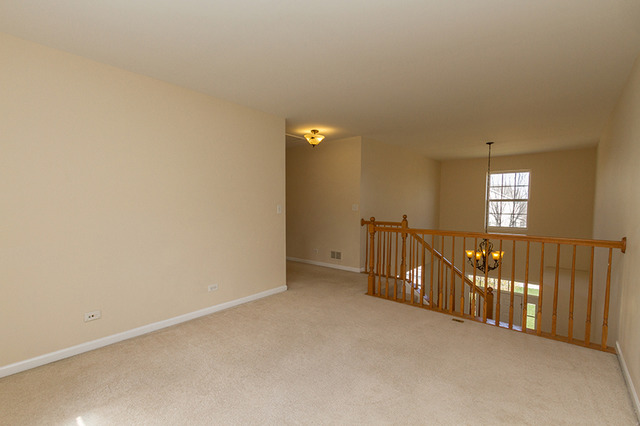 321 Alpine Dr, Gilberts, IL 60136 photo 15